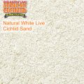 Natural White Live Cichlid Sand